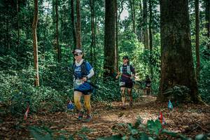 BIB: 
                            <button type="button" onclick="openModal(26135591)" class="btn btn-primary btn-sm float-right btn-popup" data-toggle="modal" data-target=".modal-high-quality">
                        <i class="fas fa-shopping-cart"></i> Add to Cart
                    </button>
                                            <button type="button" onclick="isThisMe(26135591, true)" class="btn btn-success btn-sm float-right btn-popup btn-isme hidden" data-toggle="tooltip" data-placement="bottom" title="นี่คือรูปของคุณใช่ไหม คลิกที่นี่เพื่อเอาเข้าอัลบั้ม">
                        <i class="fas fa-plus"></i> Add to album
                    </button>
                    <button type="button" onclick="isThisMe(26135591, false)" class="btn btn-warning btn-sm float-right btn-popup btn-isnotme hidden">
                        <i class="fas fa-ban"></i> Remove from album
                    </button>